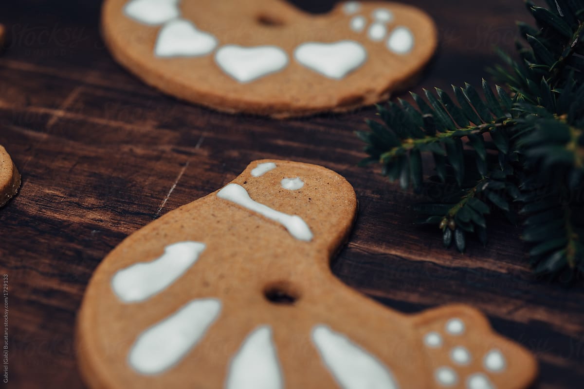 Closeup of a bird shaped decorated Christmas cookie