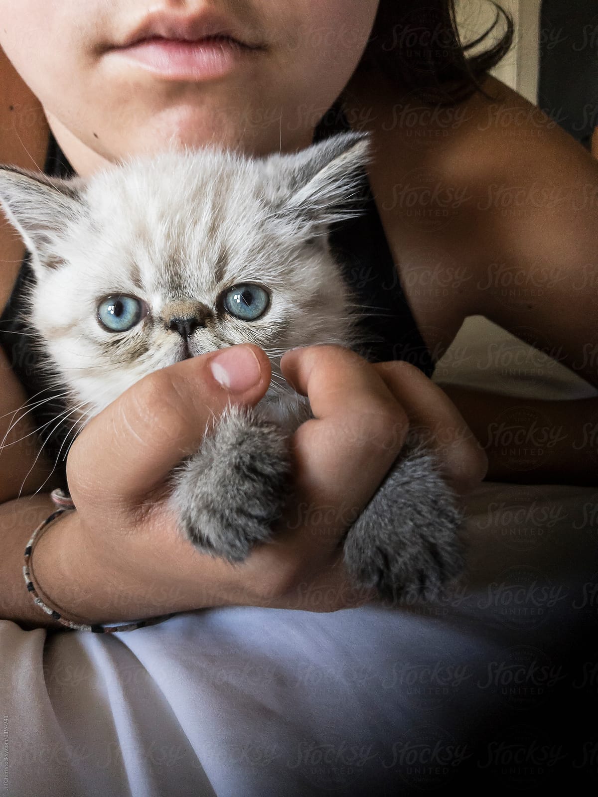 Girls Holds Lynx Point Kitten with Blue Eyes.