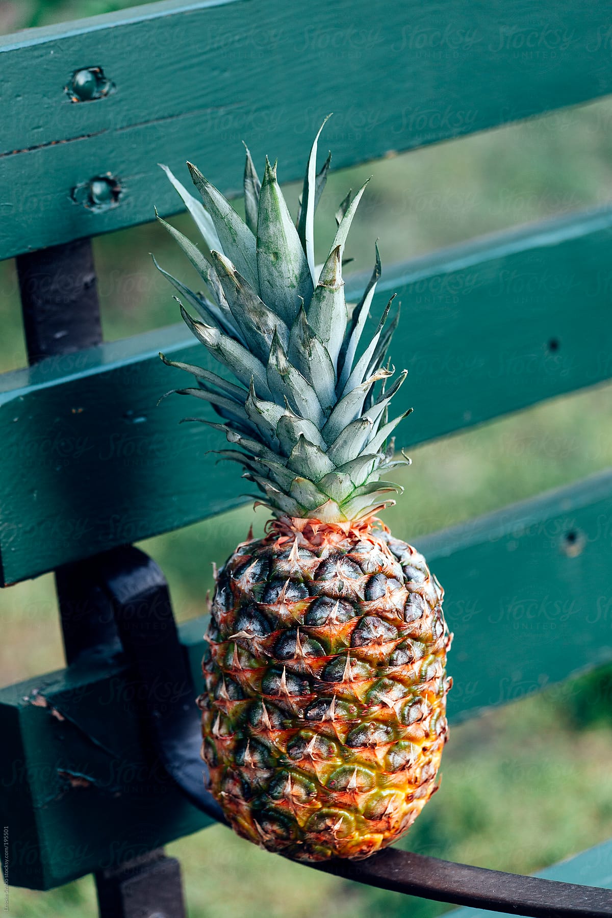 Fresh pineapple on the bench