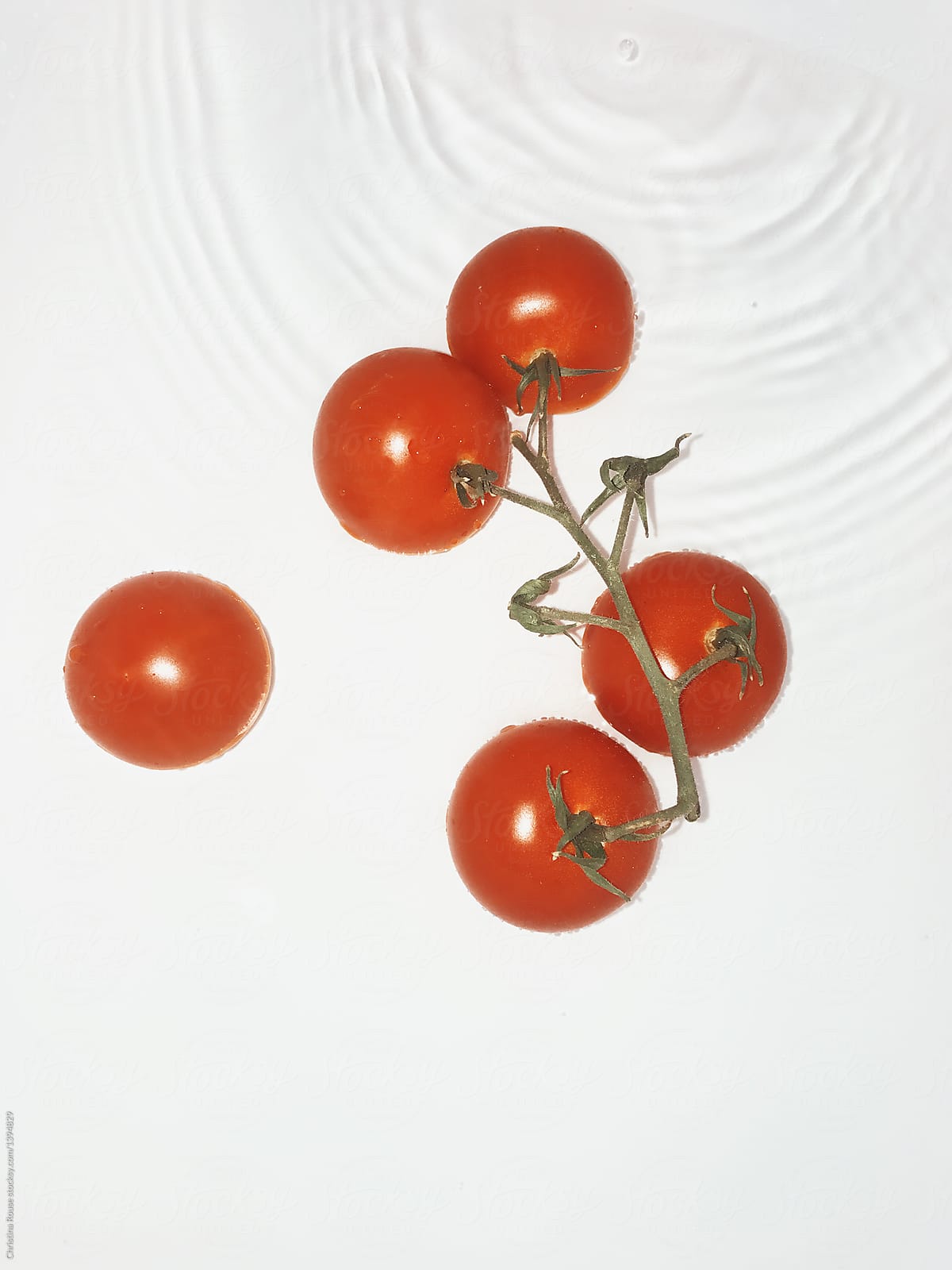 Ripe tomatoes on the vine floating in water