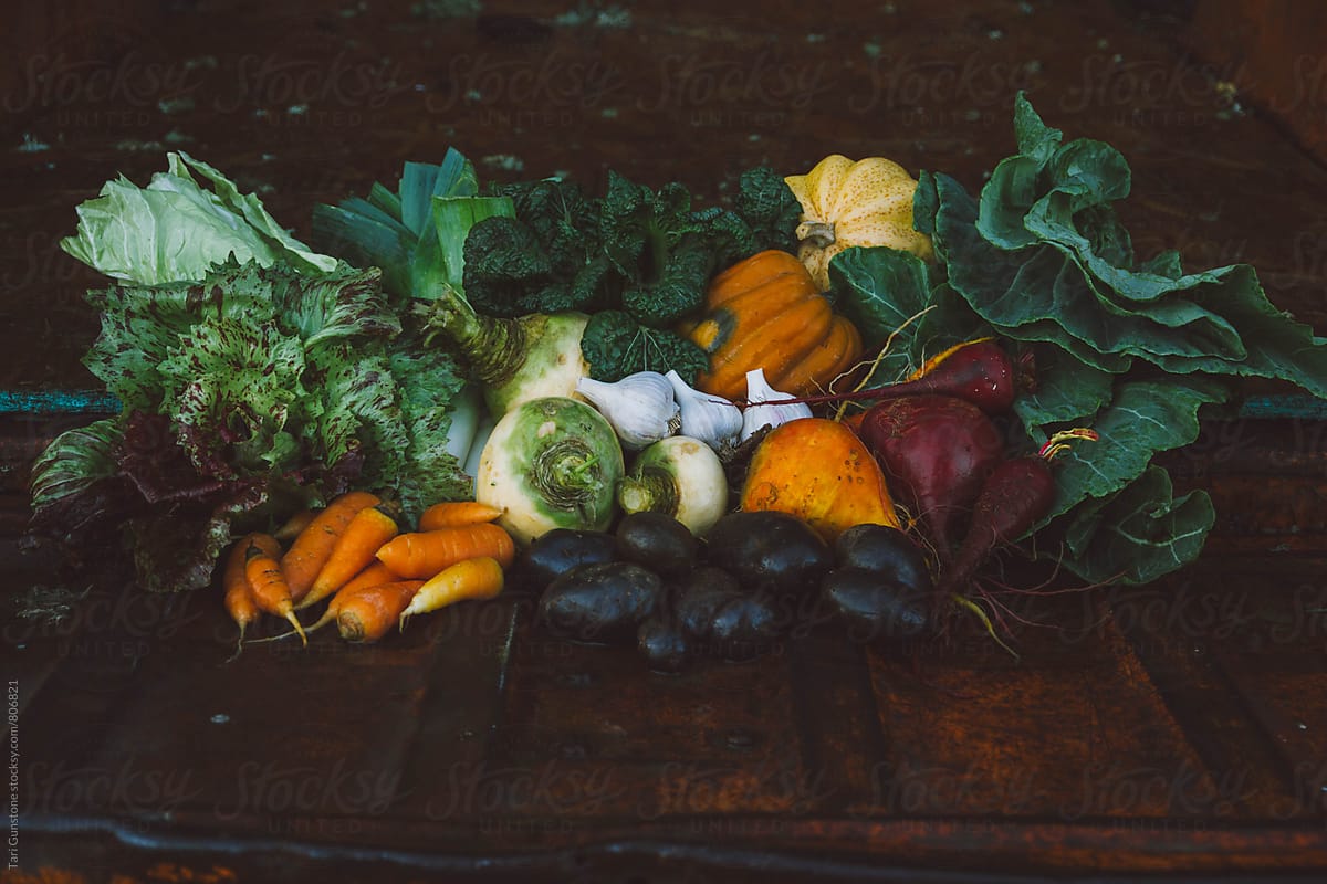 Bounty of farm fresh vegetables on orange truck bed