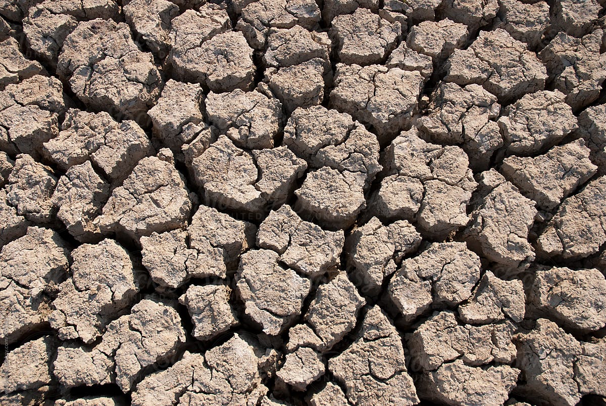 Drought causing parched land
