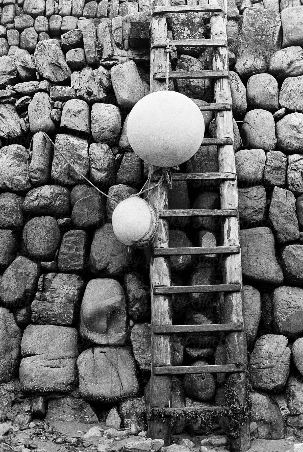 Ladder and buoys on a seawall
