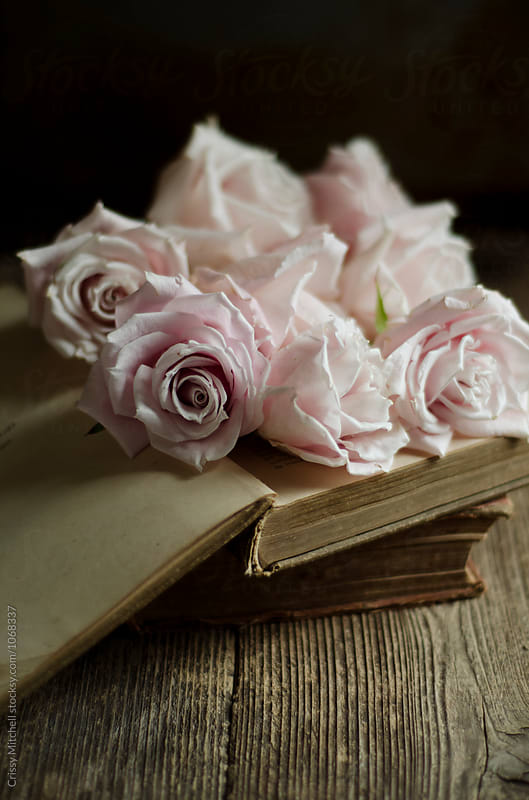 roses and books