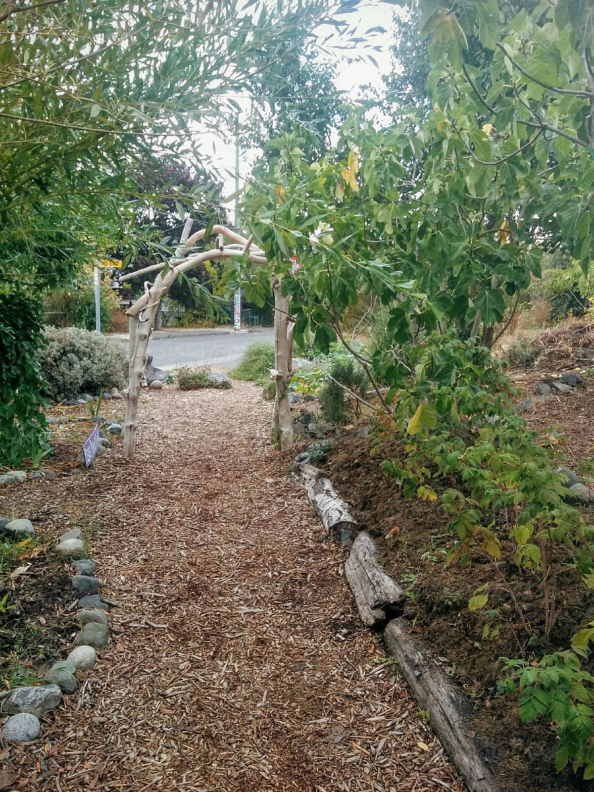 Entrance Pathway to Community Garden