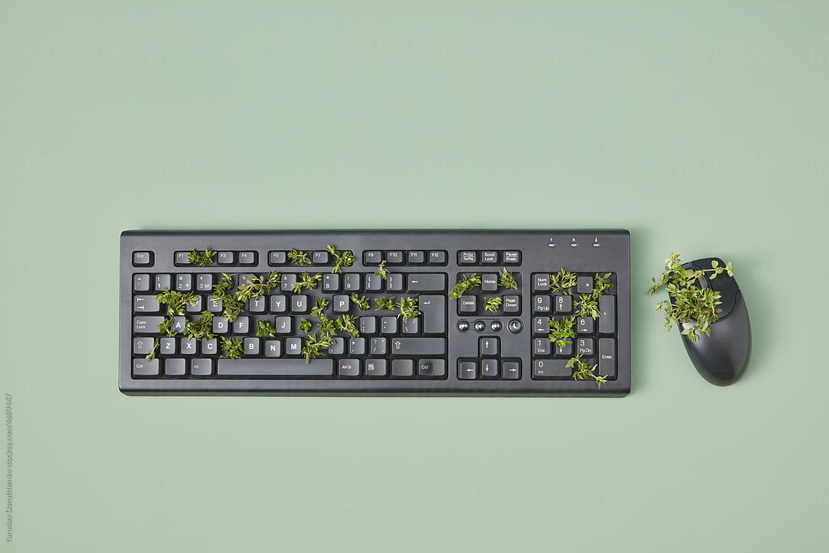 Plants growing out of keyboard and mouse