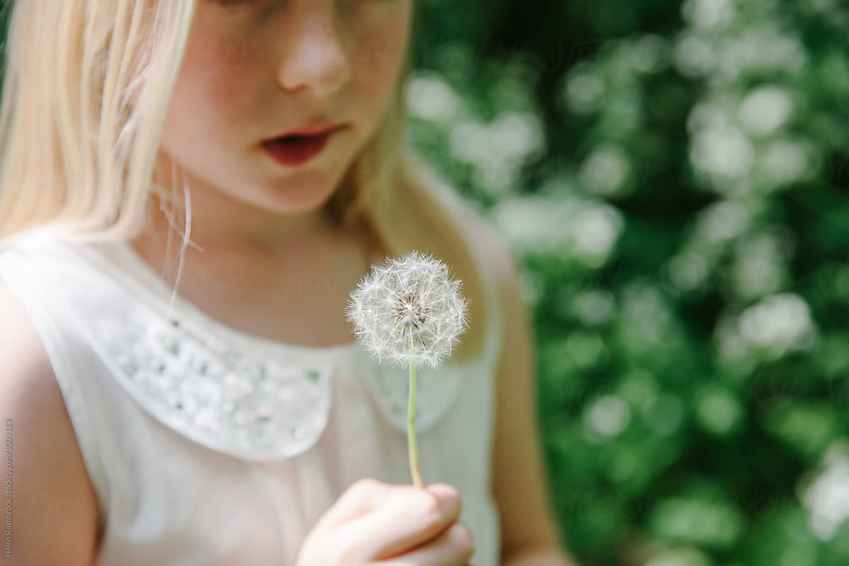 A little girl with a dandelion, thinking about making a wish