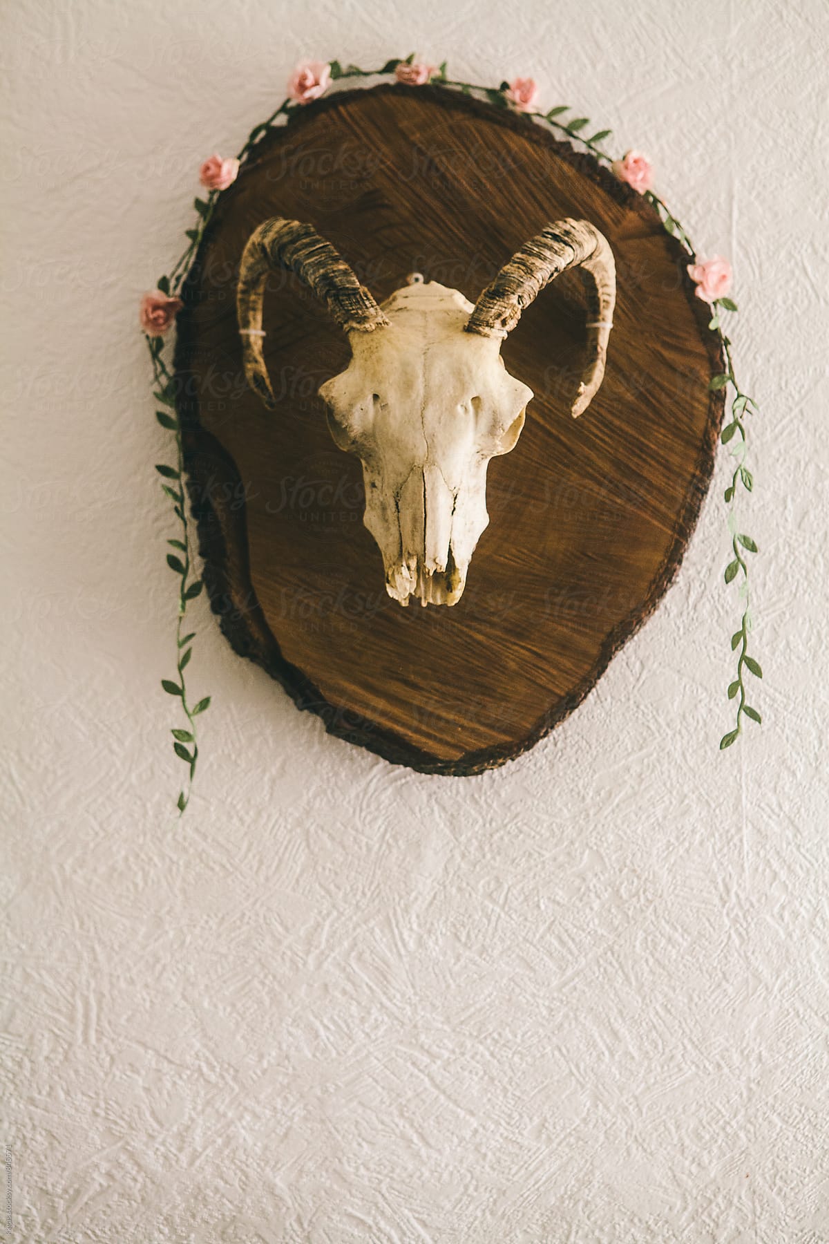 Ram skull mounted on wood with a flower garland.