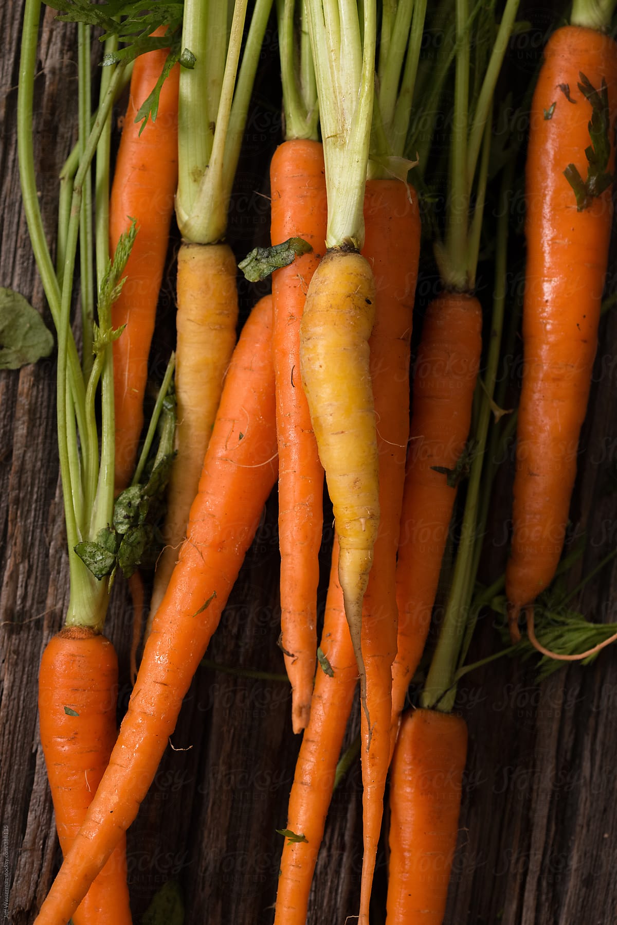 Bunch of Heirloom Carrots