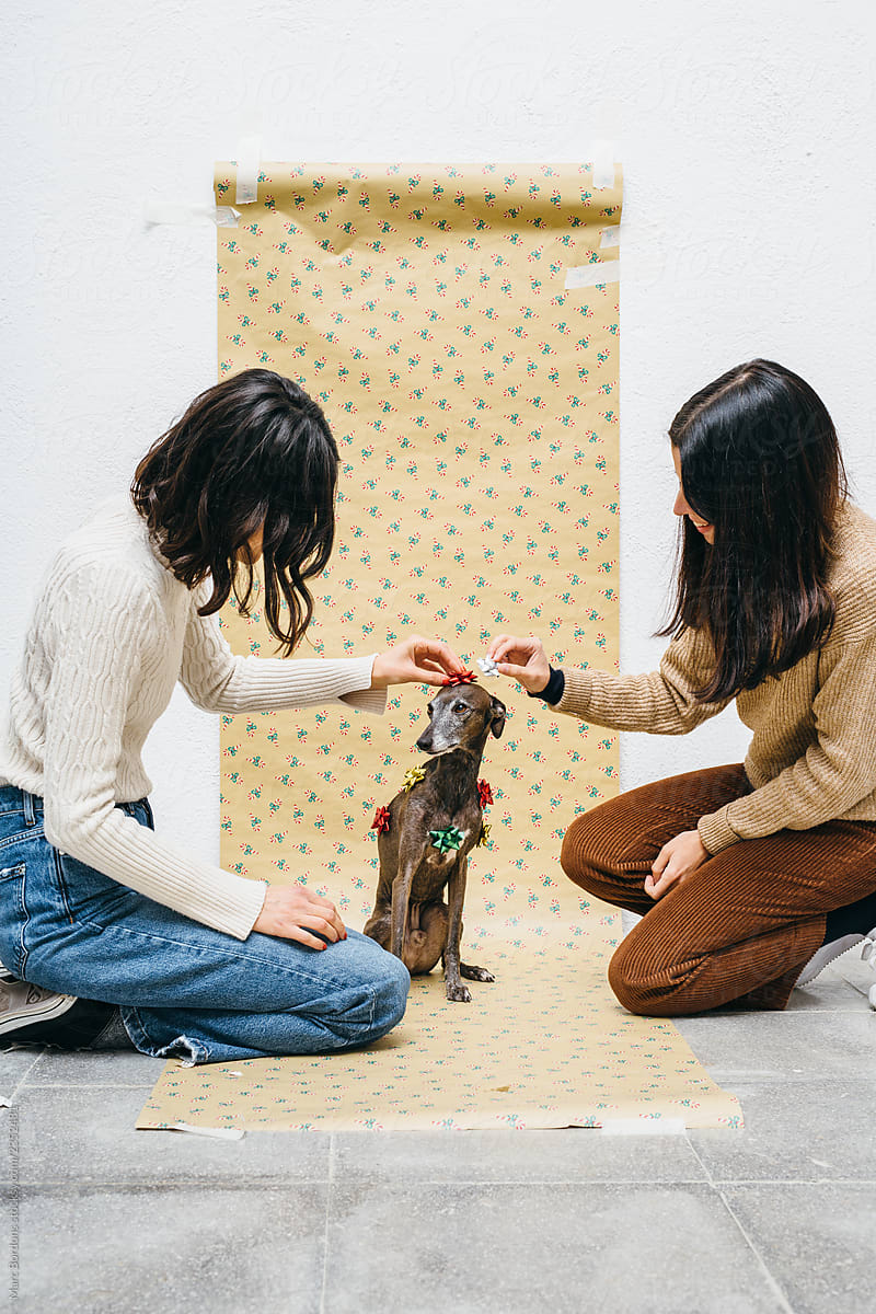 Two girls decorating a dog as a gift.