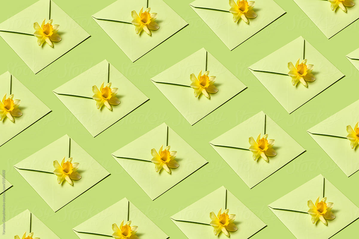 Envelopes pattern with narcissus flowers.