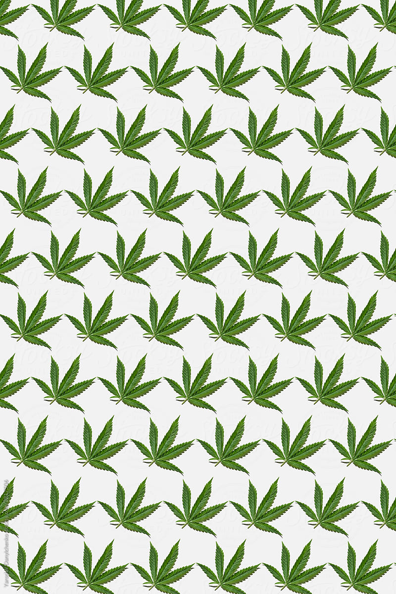 Marijuana natural leaves pattern.