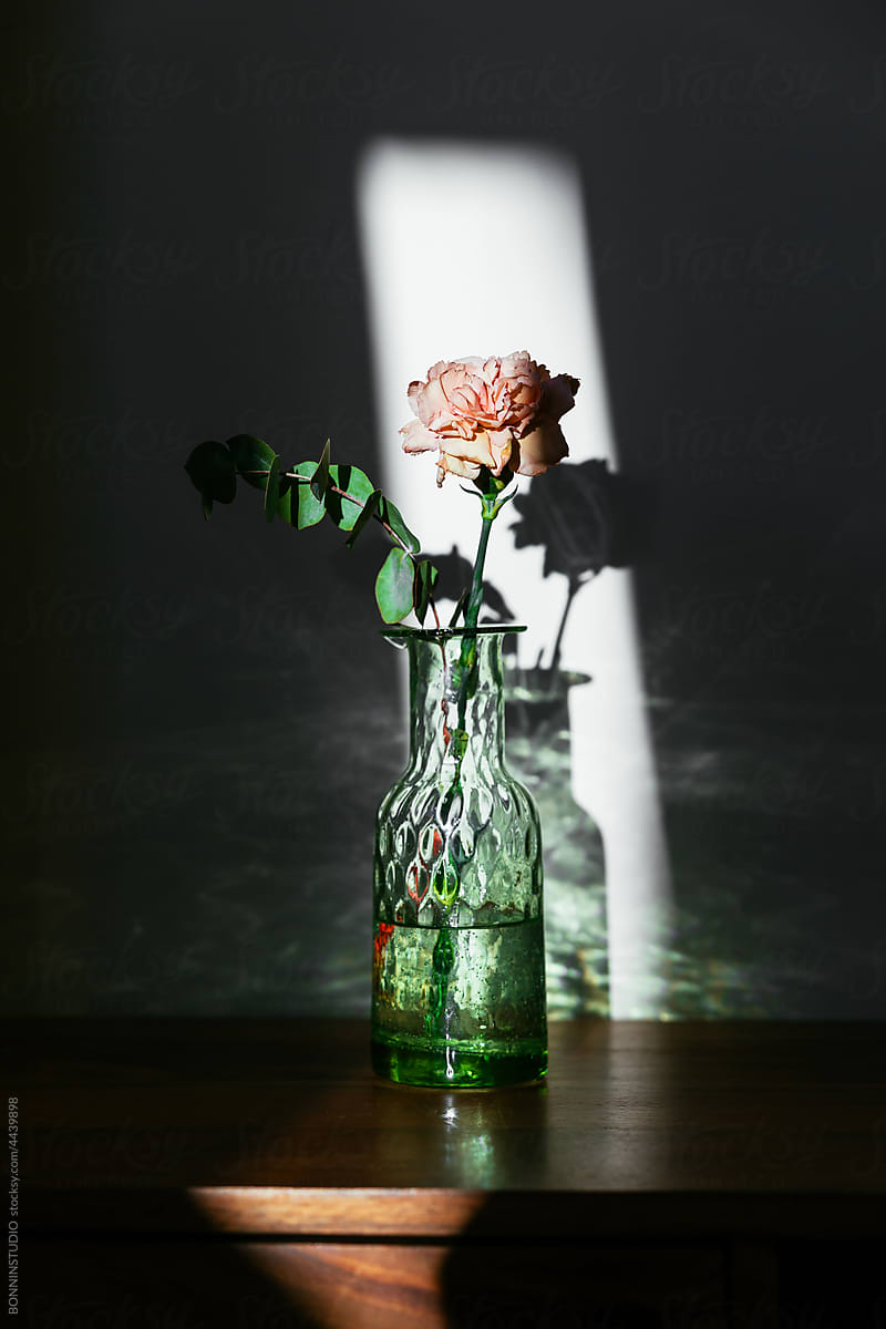 Rose flower in glass vase on table