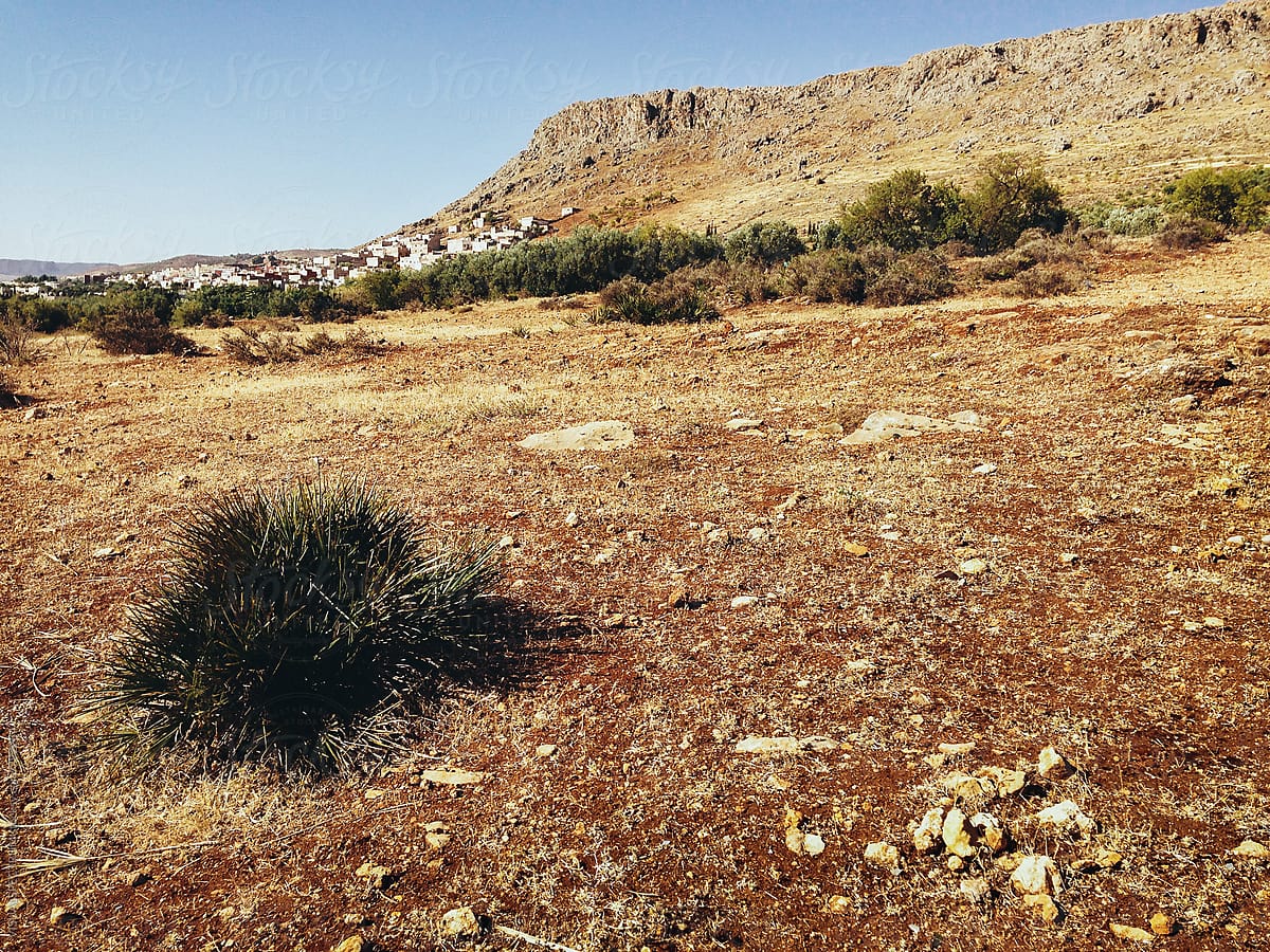 Arid Moroccan Landscape