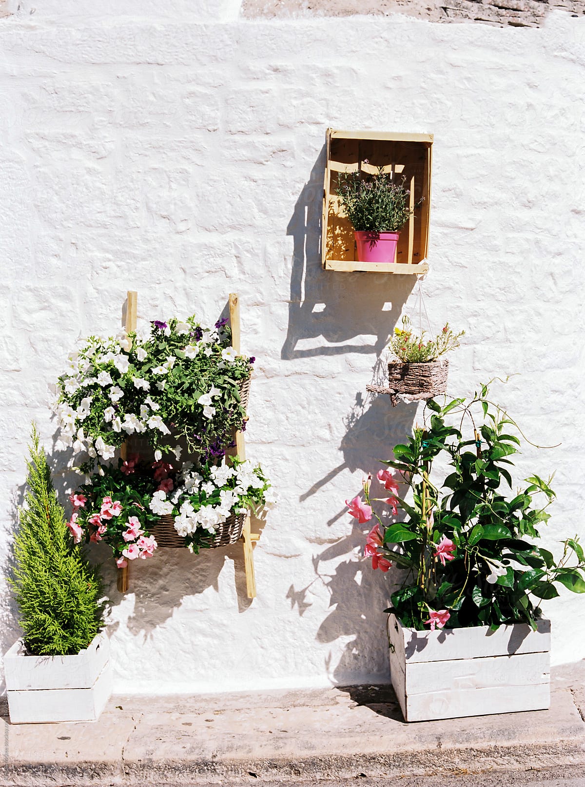 Flowers in boxes, Puglia