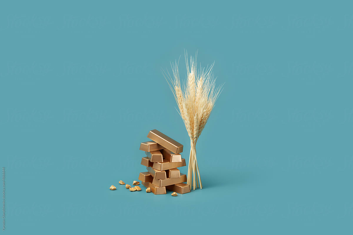 Gold ingots and wheat on blue background.