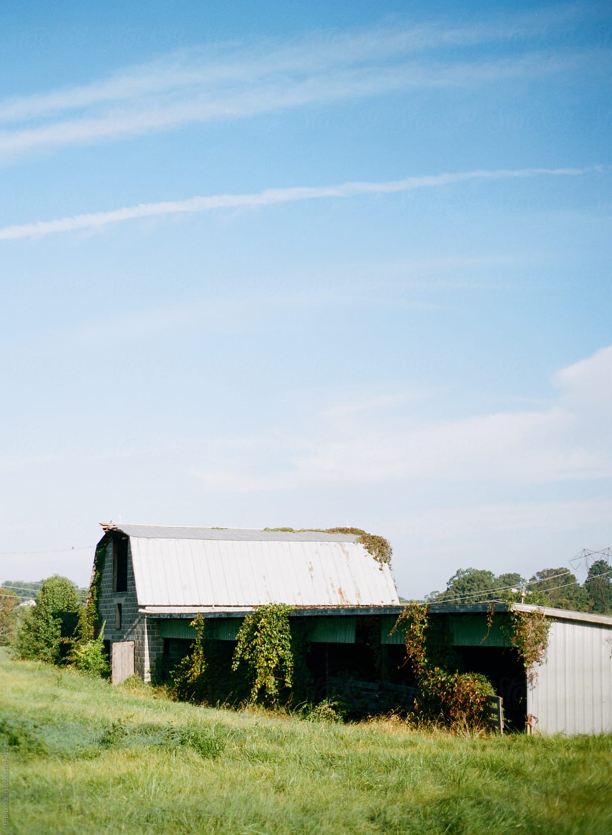 Landscape image of an old run down cattle barn