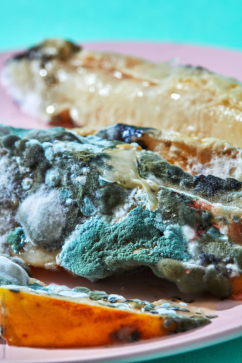Rotting Close Up Old Fruits With Green And Blue Mold Fungus On