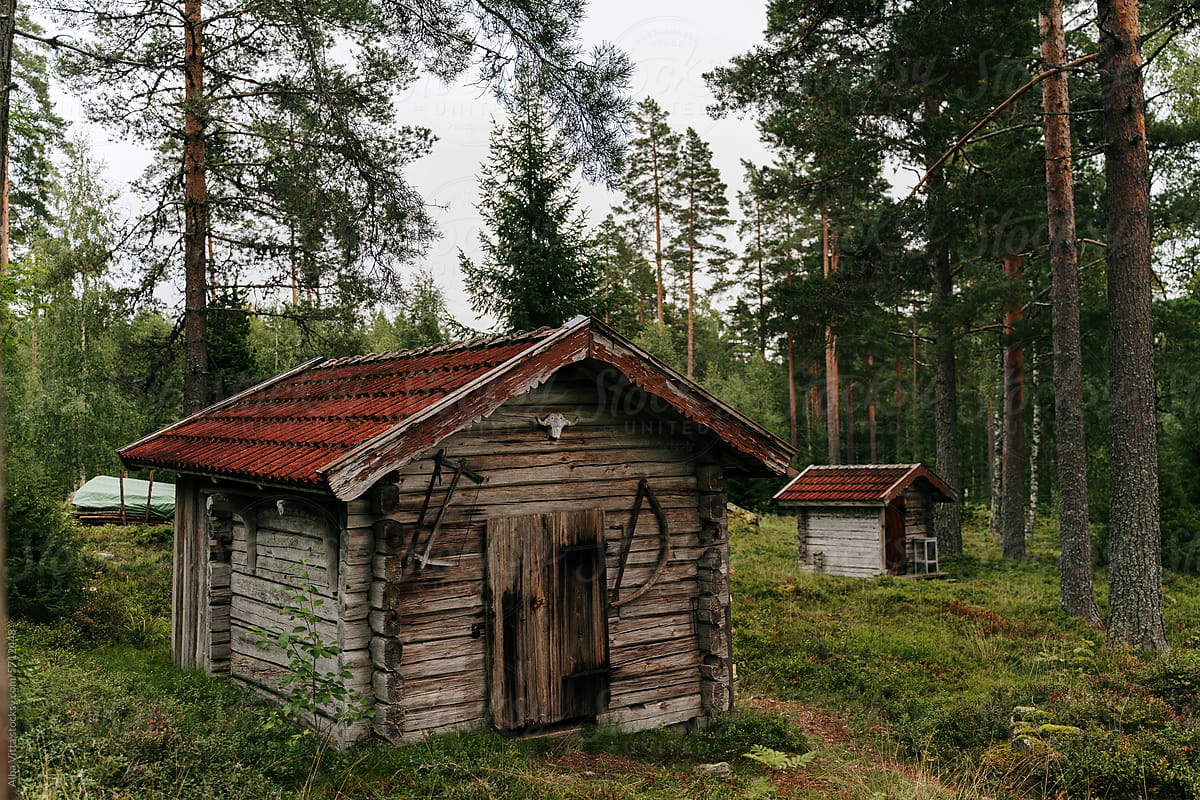 Forest offgrid hut