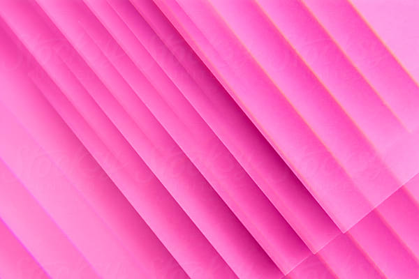 Pink Feathers On White Background by Stocksy Contributor Pixel Stories -  Stocksy