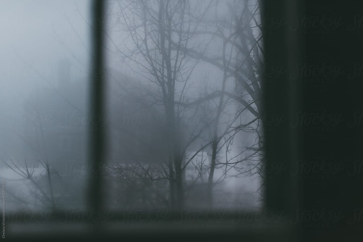 A snow storm as seen from a window inside of a home