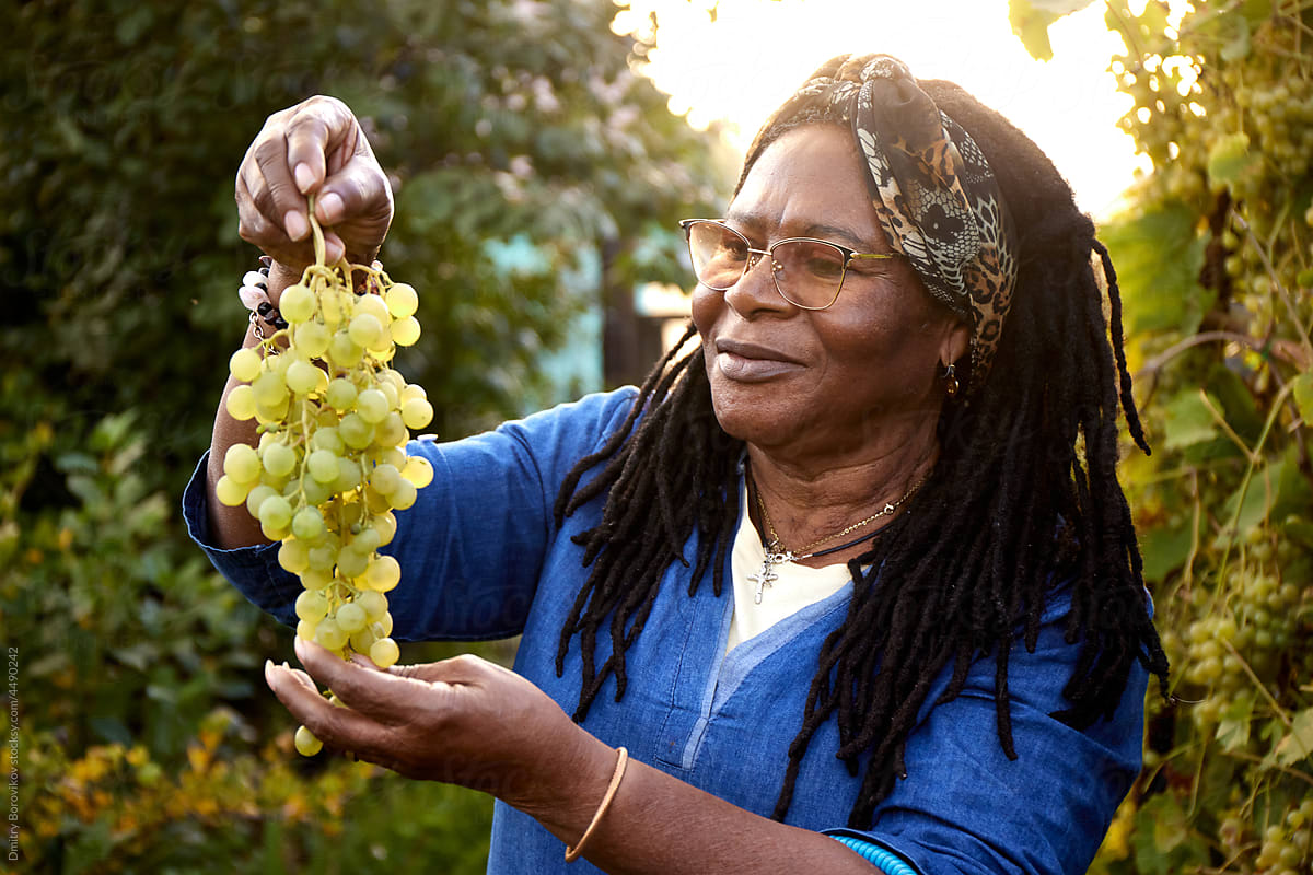 Woman inspects a grape harvest
