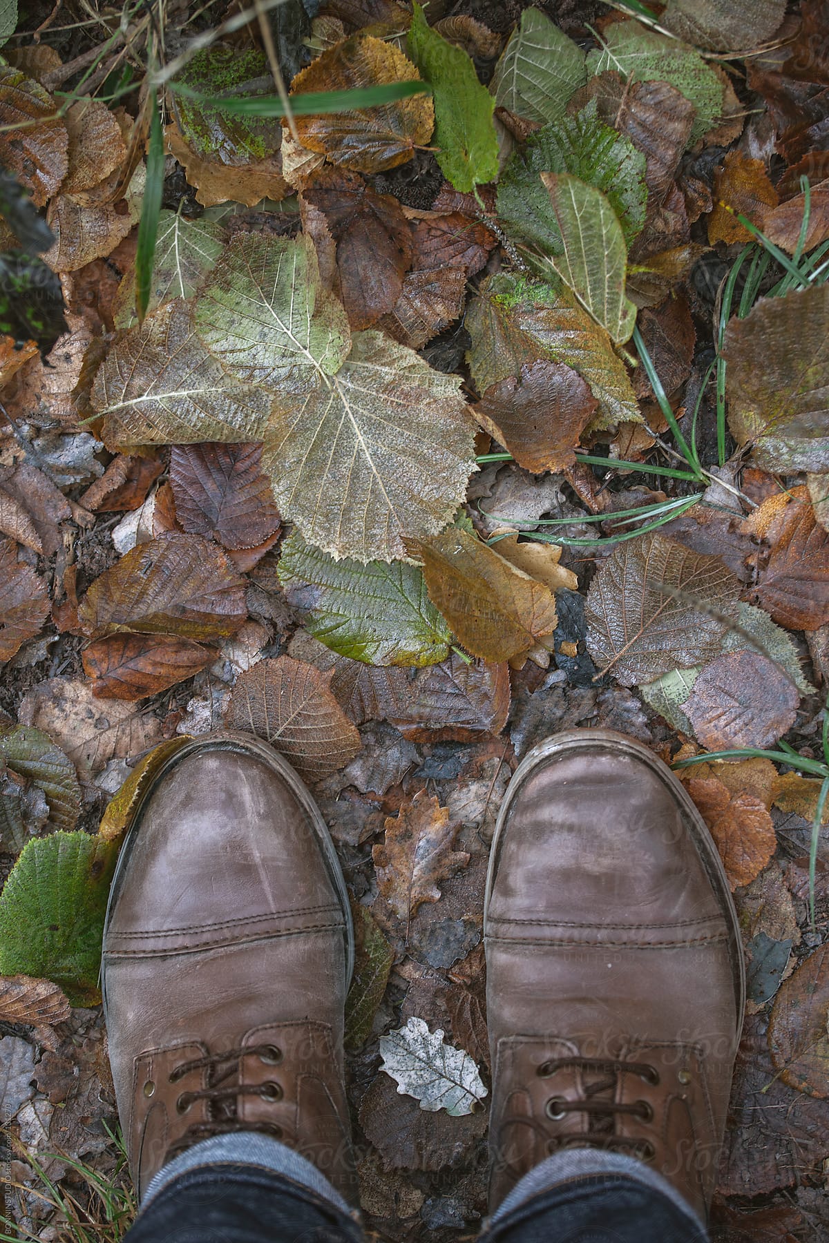 Overhead of a man boots on fall soil.