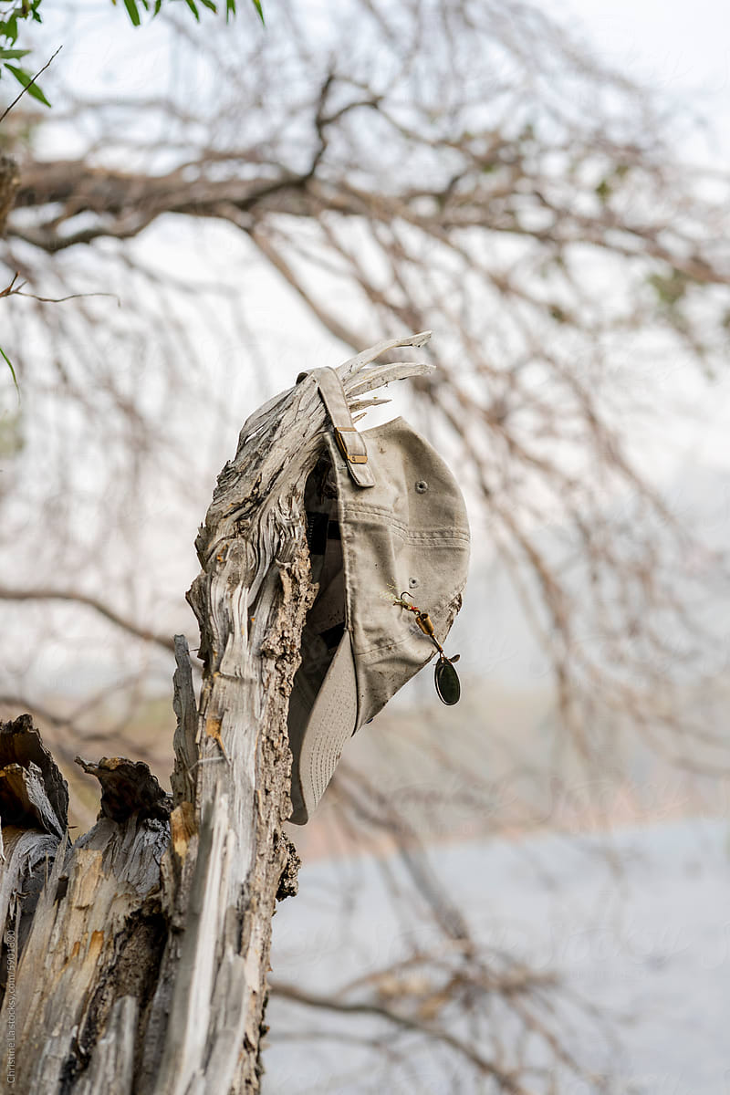 Fisherman\'s hat left behind on tree by lake