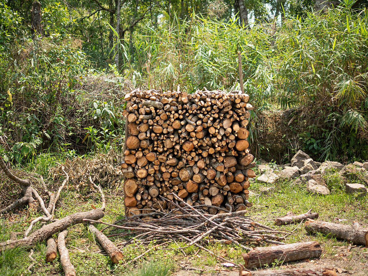 A neatly stacked cube of firewood