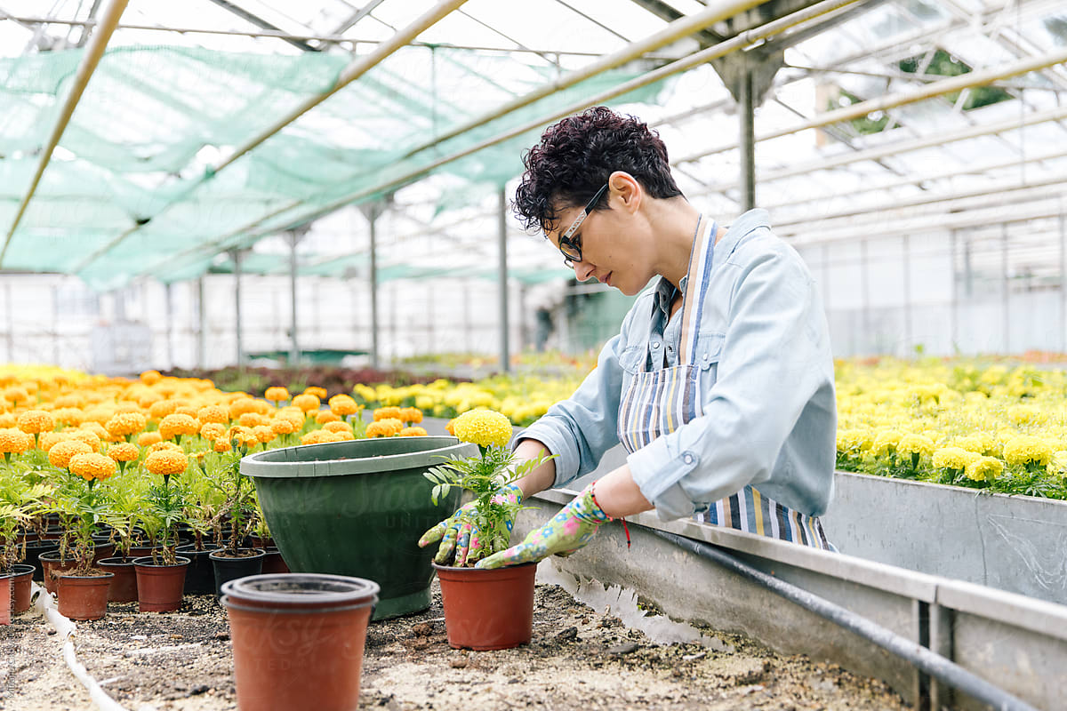 Mid Adult woman working in greenhouse