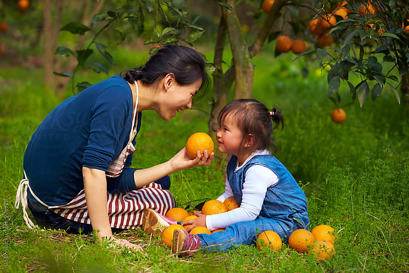 lovely little asian girl with her mother in the orange farm