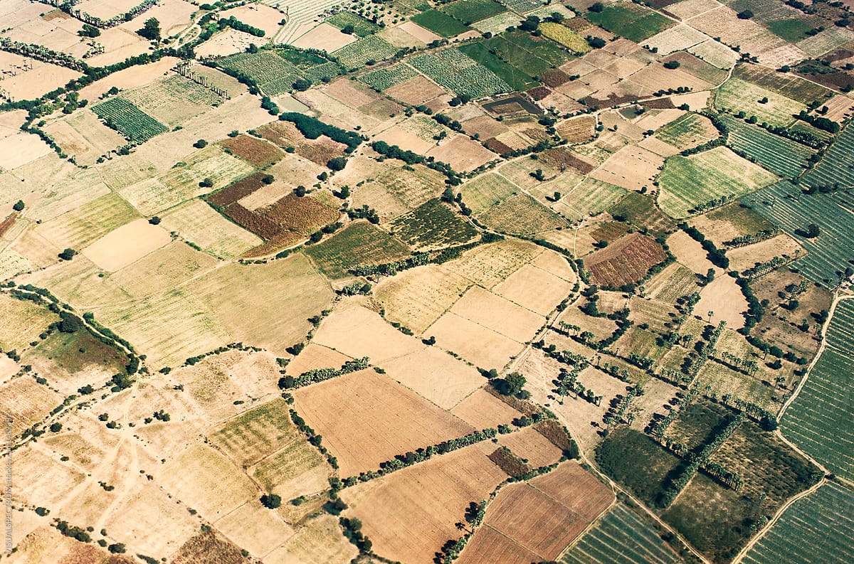 Aerial Shot of Plots of Farmland in South East Asia