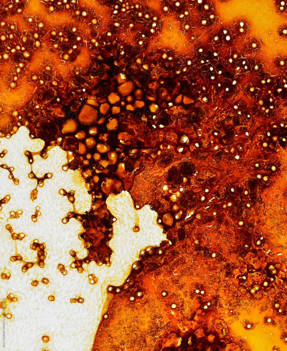 macro of grease residue patterns in a glass broiling pan