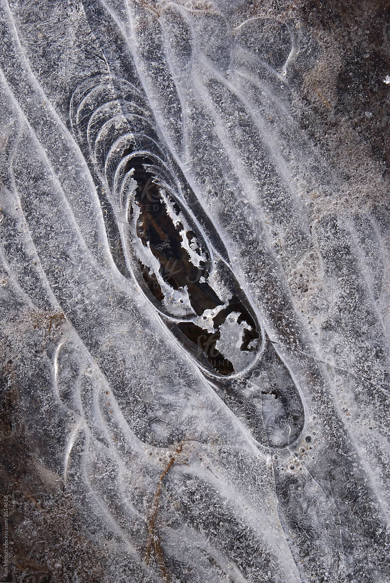 macro of Ice patterns in a small creek, black-and-white