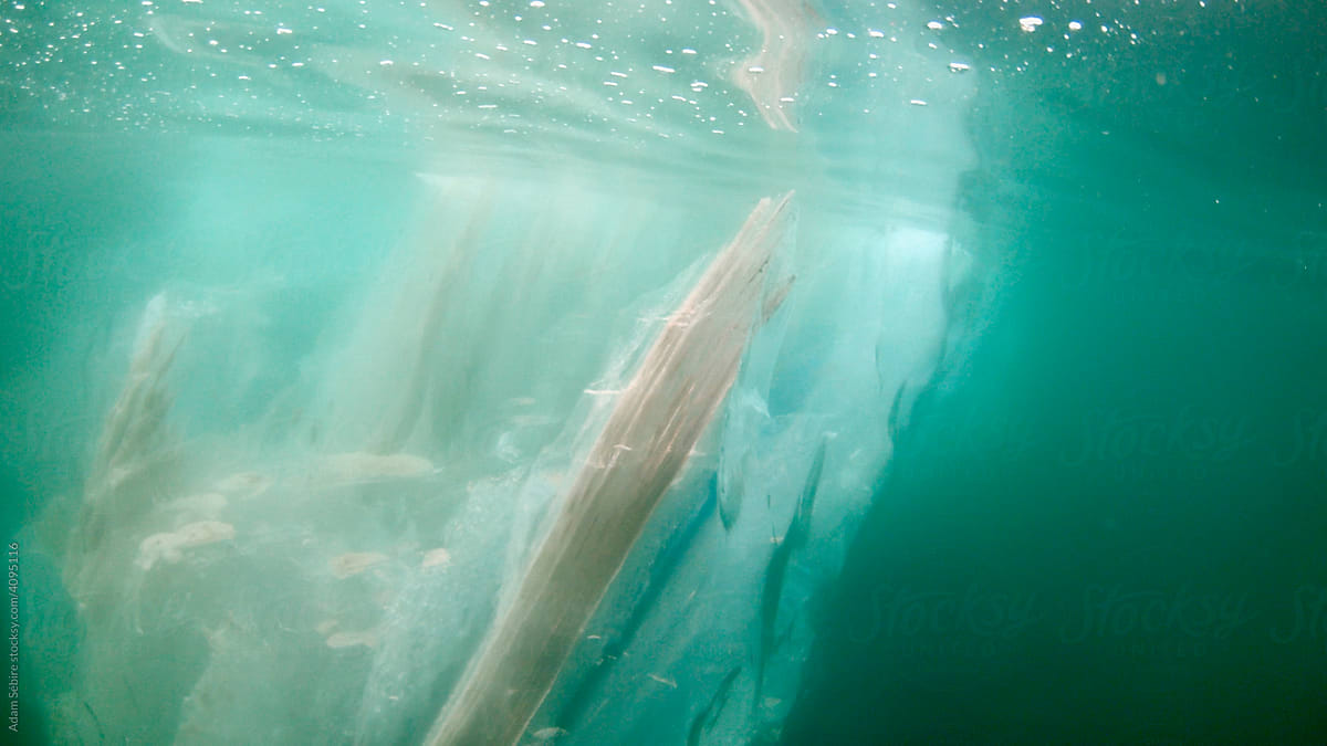 Fragile transparent iceberg underwater, Arctic Ocean Greenland