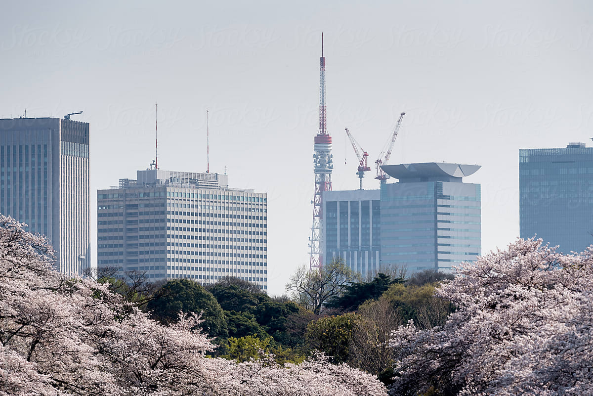 Tokyo cityscape during the springtime