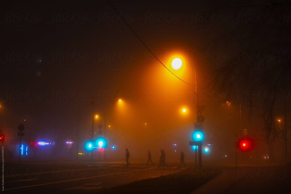 Night City Mood In Fog