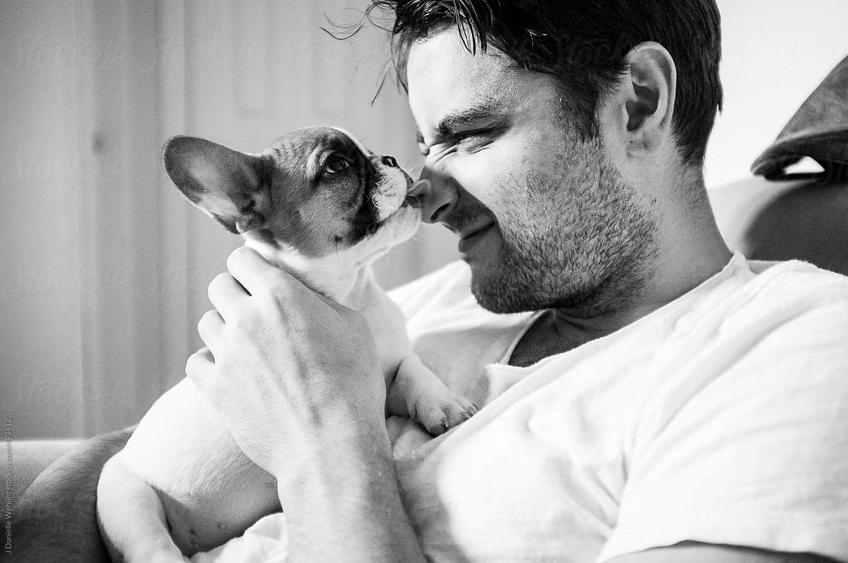 Man with french bulldog puppy kissing