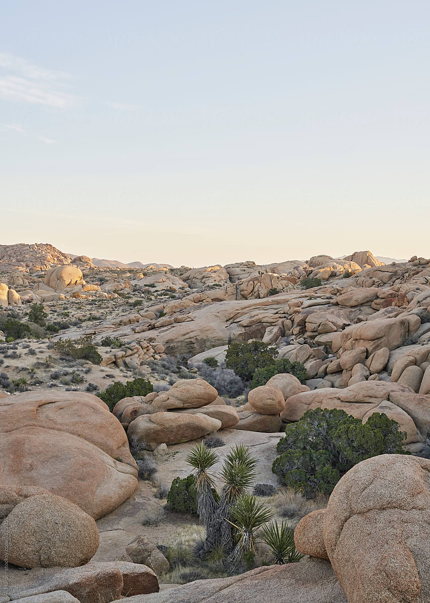 Rock formations at sunset in Joshua Tree National Park