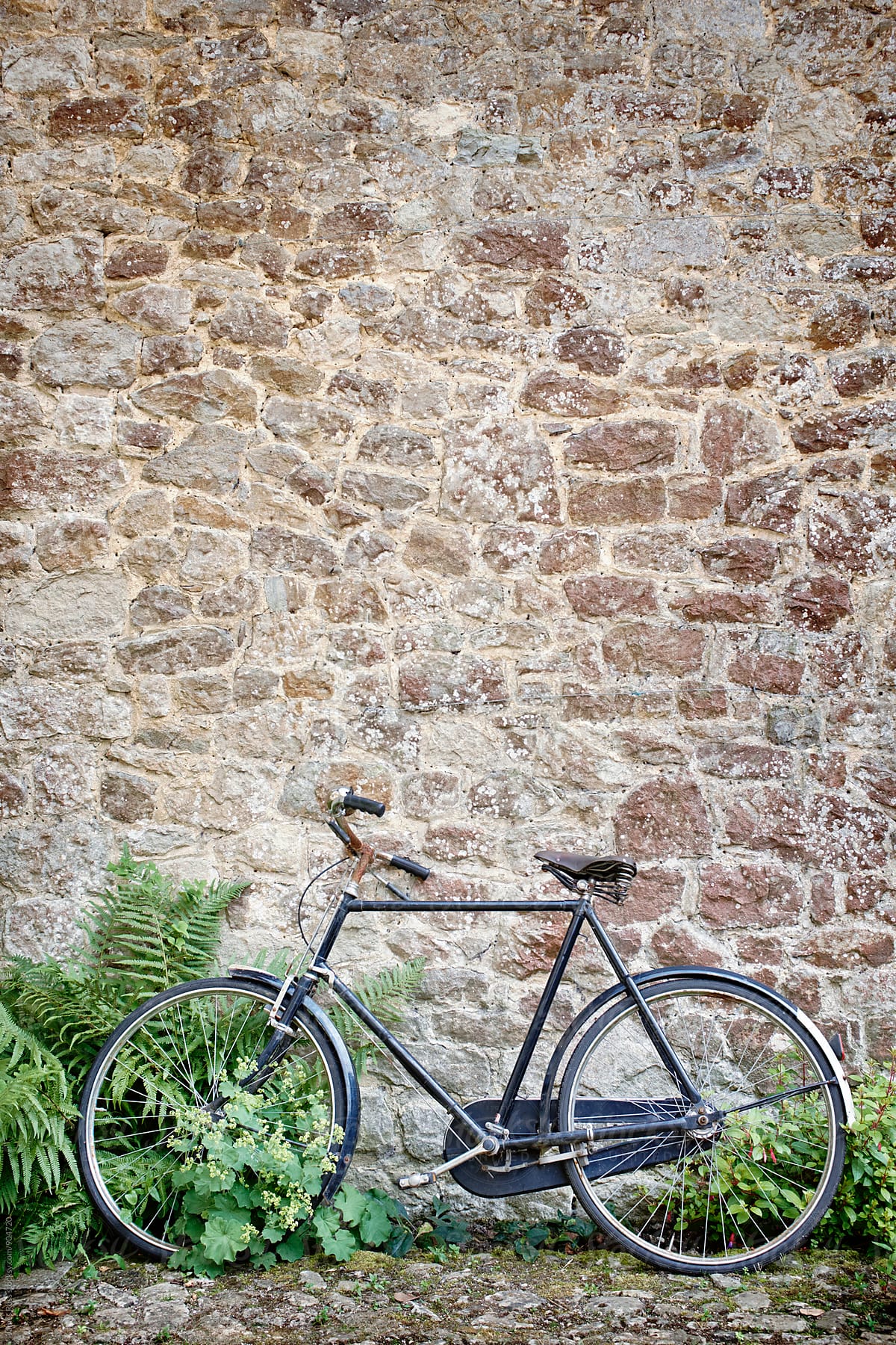 A bicycle against a wall