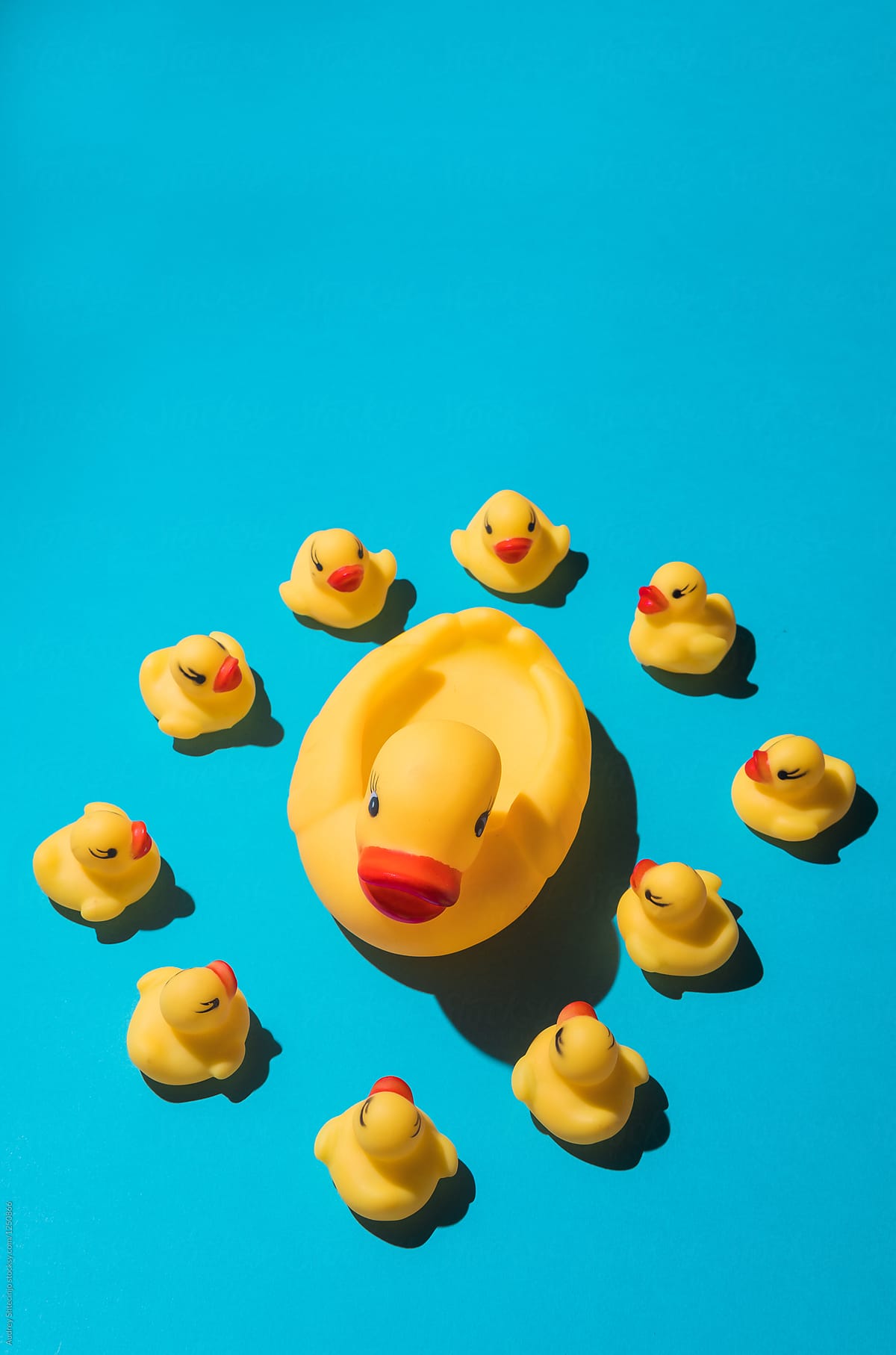 Baby ducks/toys with mom/big duck  on blue background.