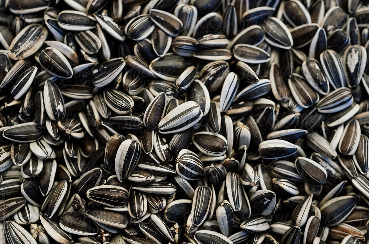 Sunflower seeds view from above