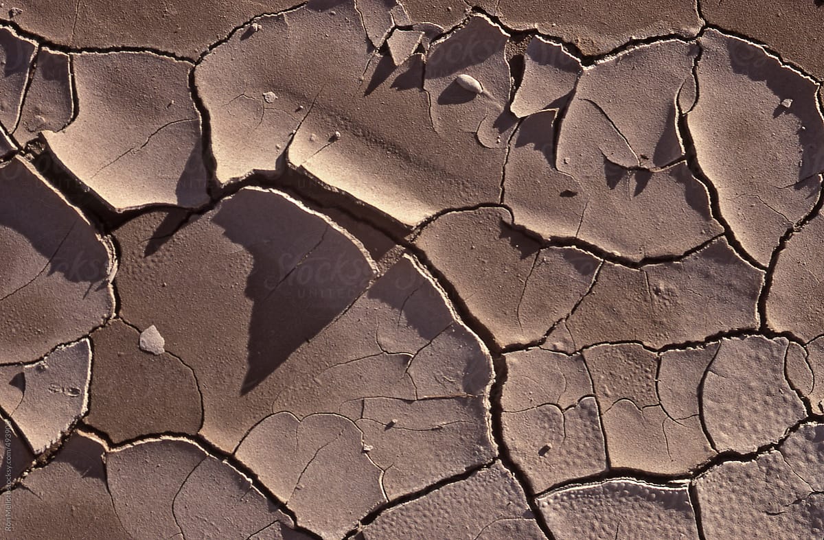 closeup of dried pool of mud caked desiccated and fractured
