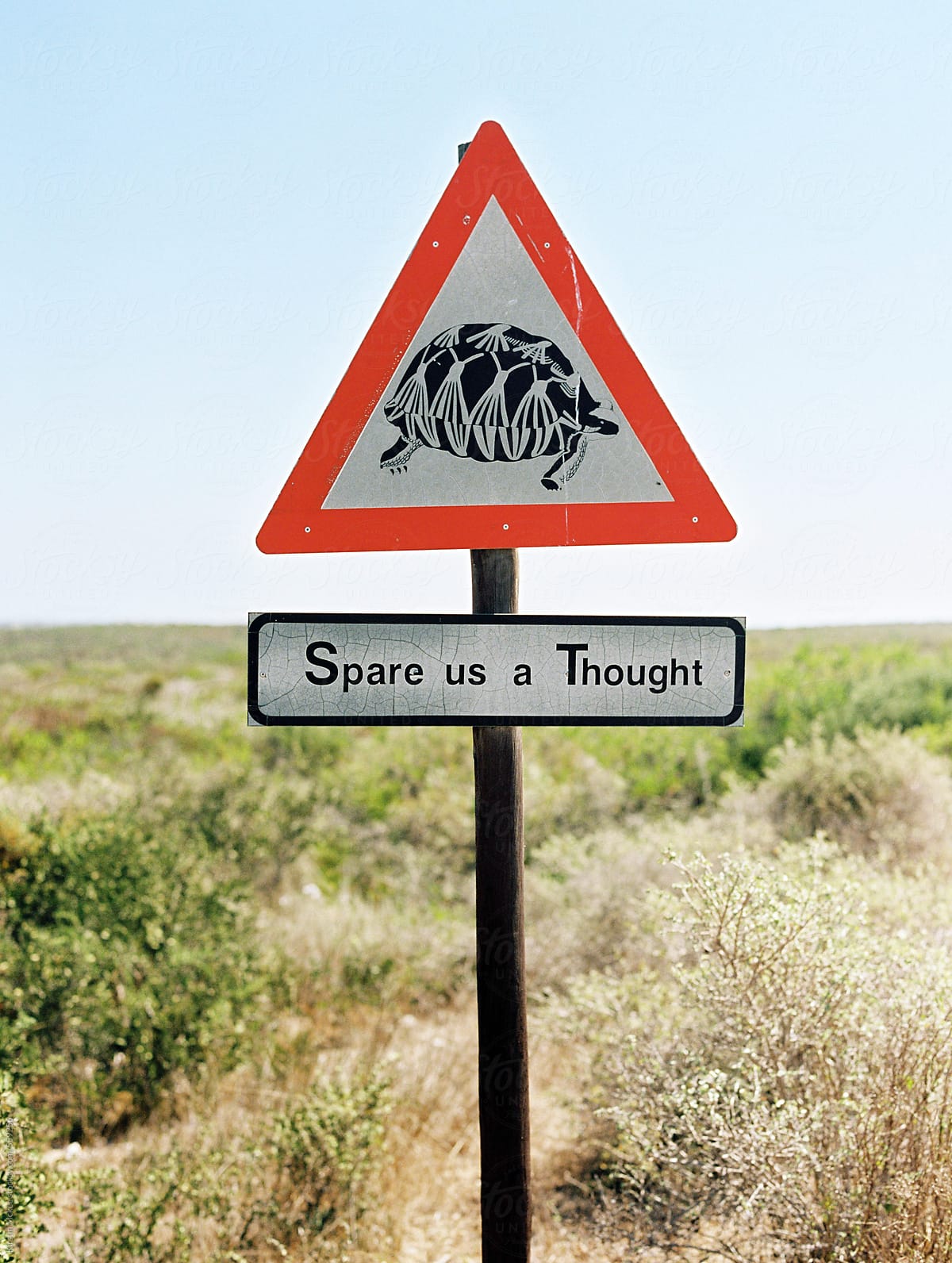South African road sign with tortoise on it.