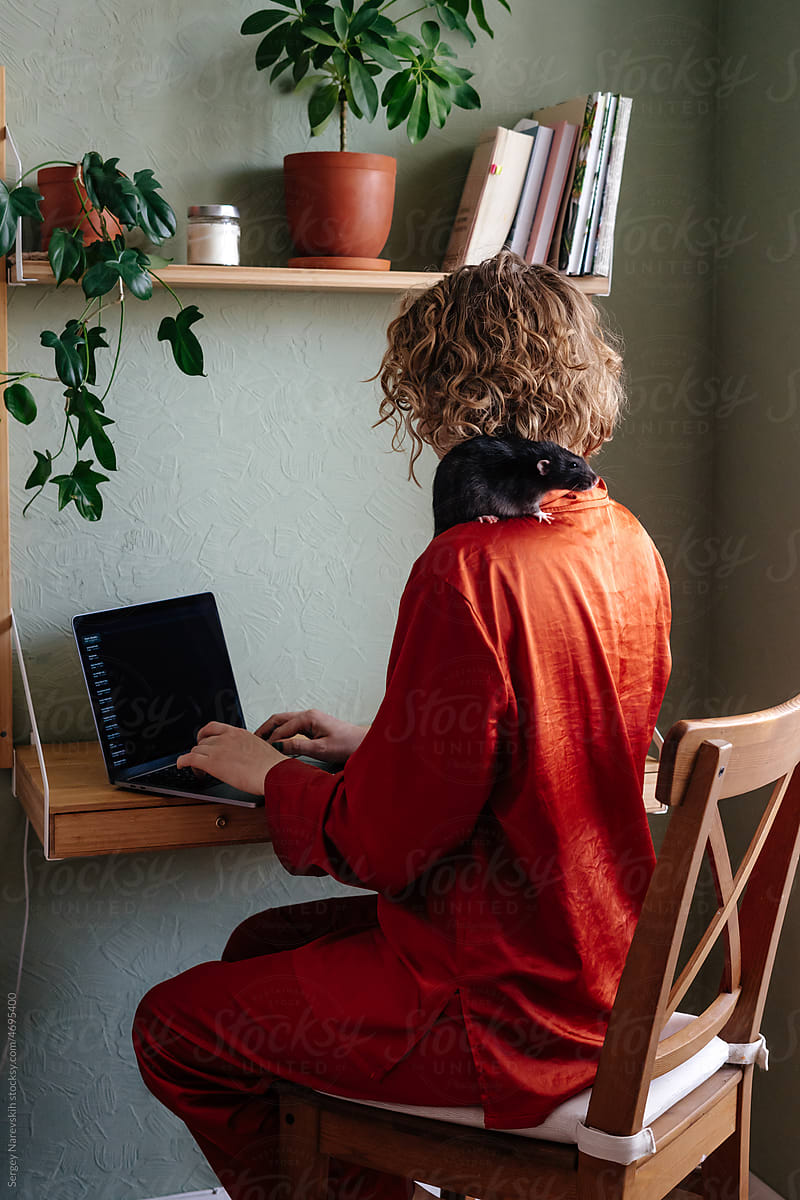 Young woman working online on netbook at home