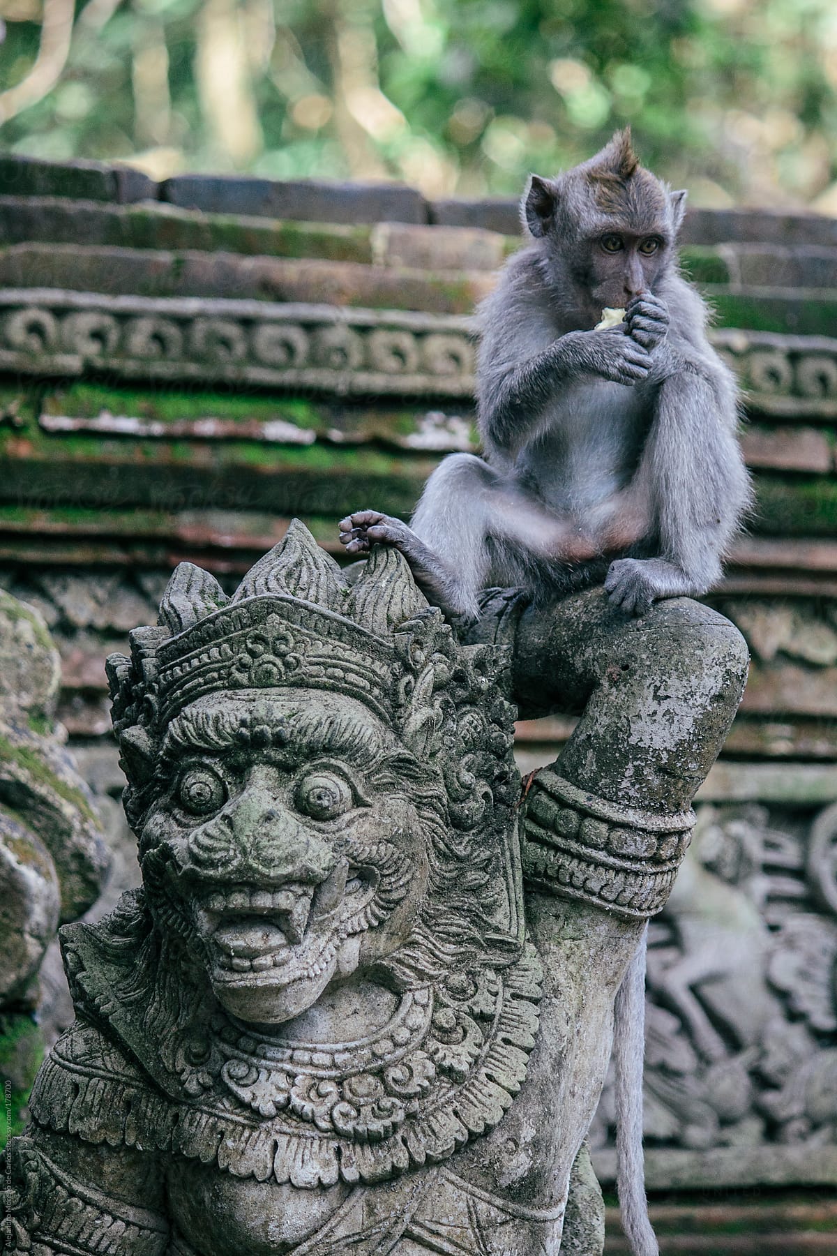 Monkey on top of asian statue, Bali, Indonesia