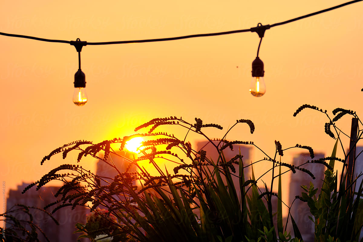 Wild Grass and Patio Lights at Sunset  on Rooftop Deck