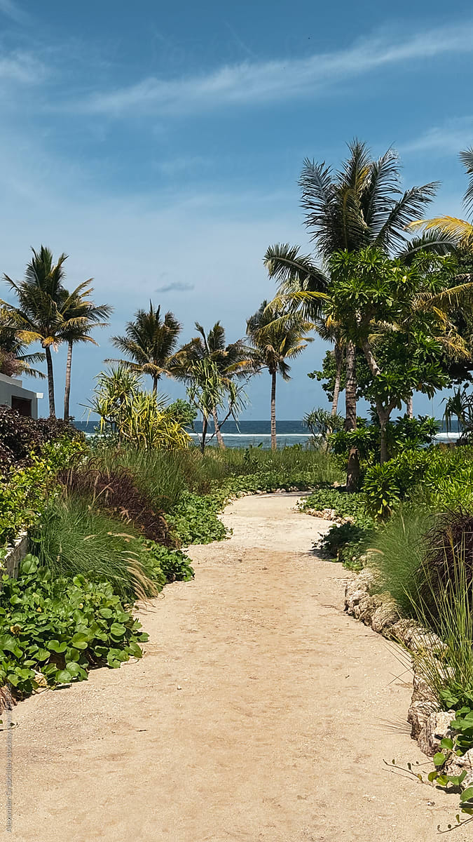 Pathway to Paradise. Tropical Beach Escape