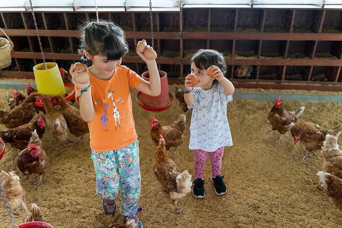 Happy kids collecting eggs from a chicken coop