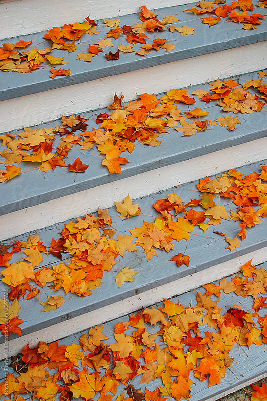Autumn Leave on Porch